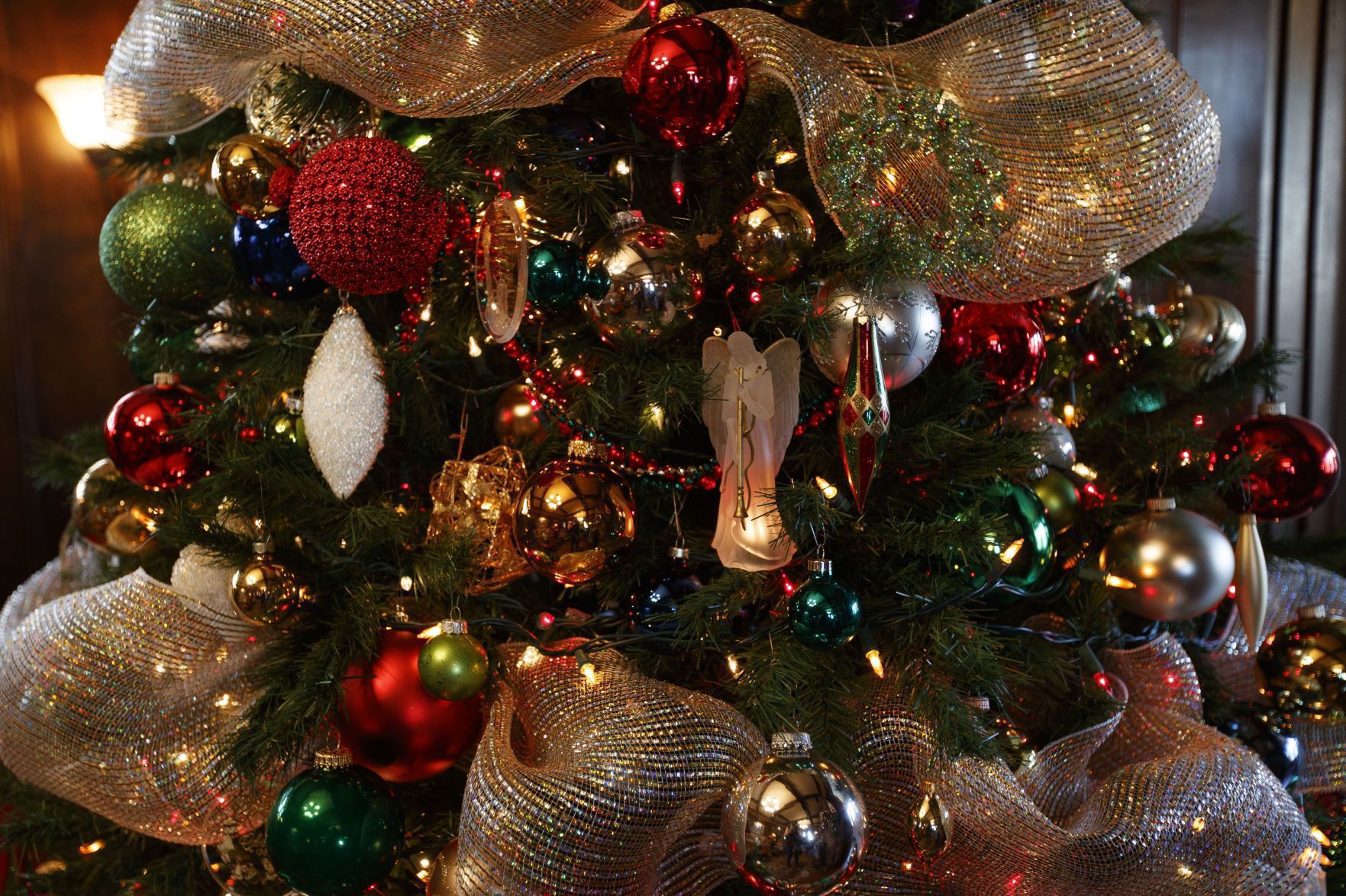 See a tree festival